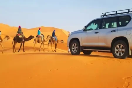 One Night Wild Desert Experience M’Hamid to Erg Chegaga