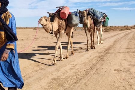 7-Day Desert Trek Morocco