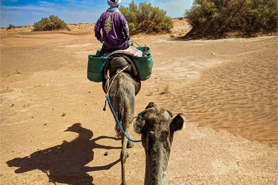 2-day desert hiking trek Morocco