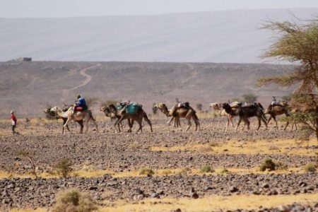 3-Day Desert Tour from Marrakech – Trekking & Erg Chegaga