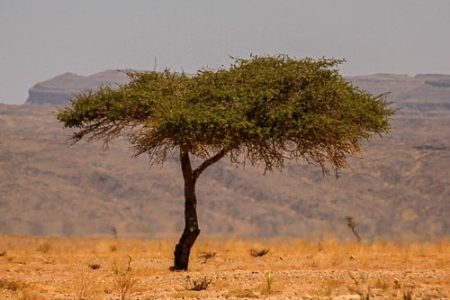 5-Day Desert Adventure – Agadir to Erg Chegaga