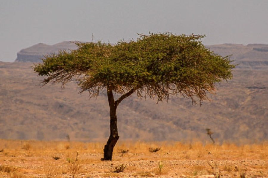 5-Day Desert Adventure – Agadir to Erg Chegaga