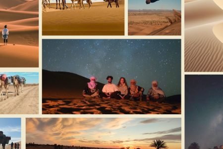 The Silent Majesty: What to Expect While Trekking with Camels in Morocco