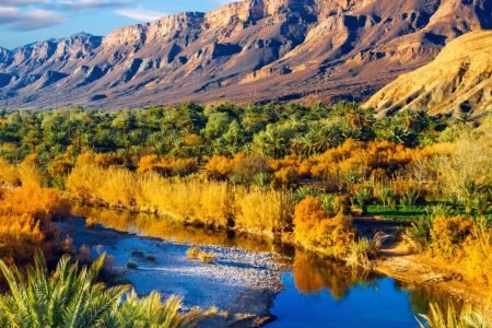The Lifeblood of the South: Exploring the Majesty of the Draa Valley