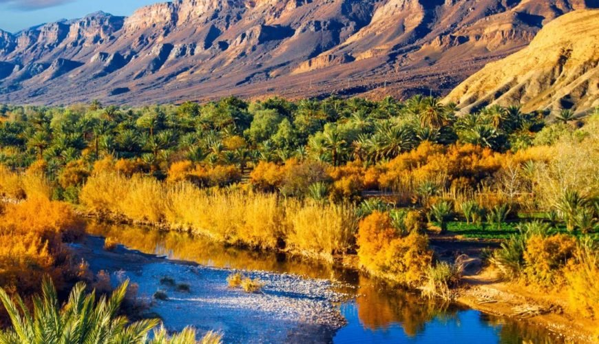 The Lifeblood of the South: Exploring the Majesty of the Draa Valley