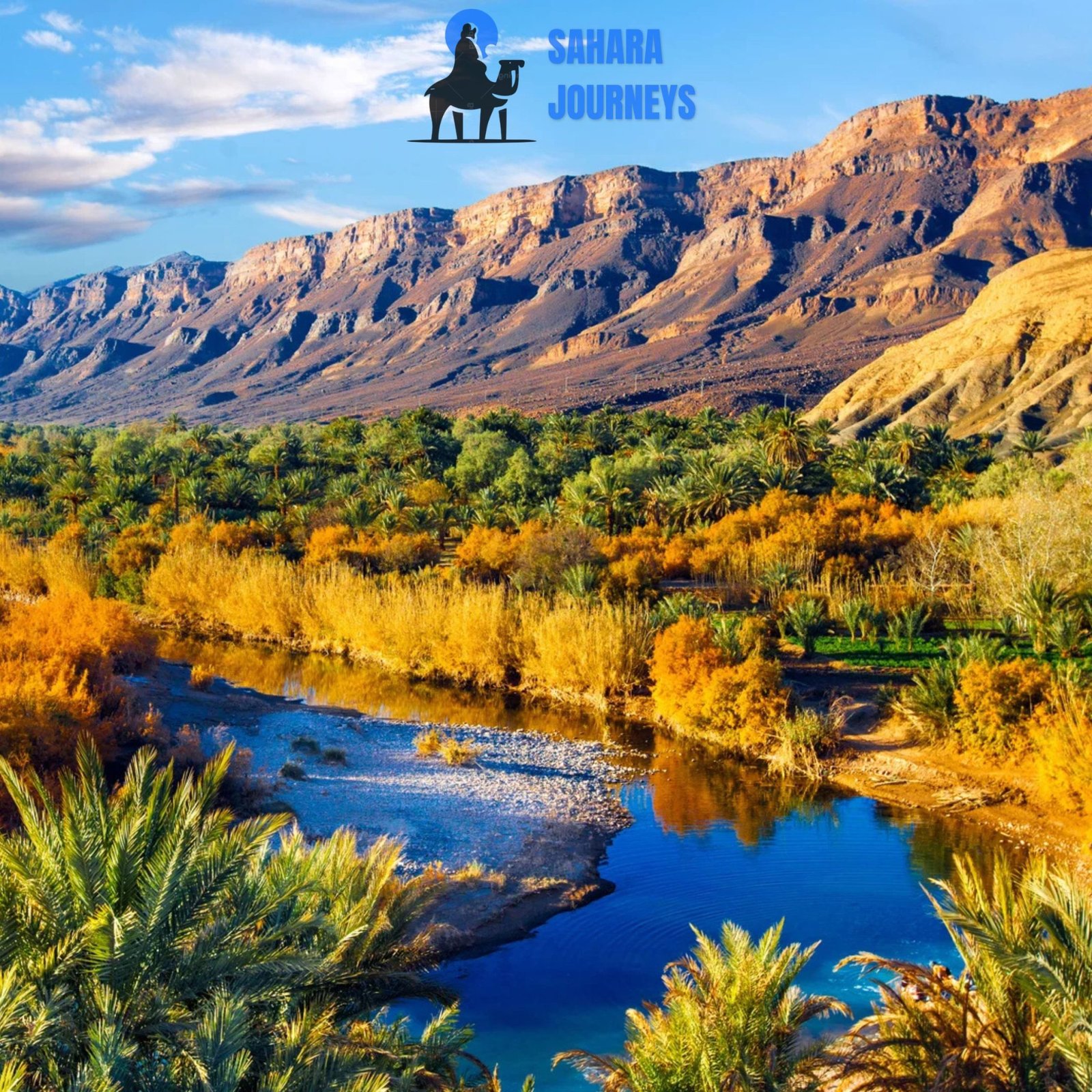 The Lifeblood of the South: Exploring the Majesty of the Draa Valley